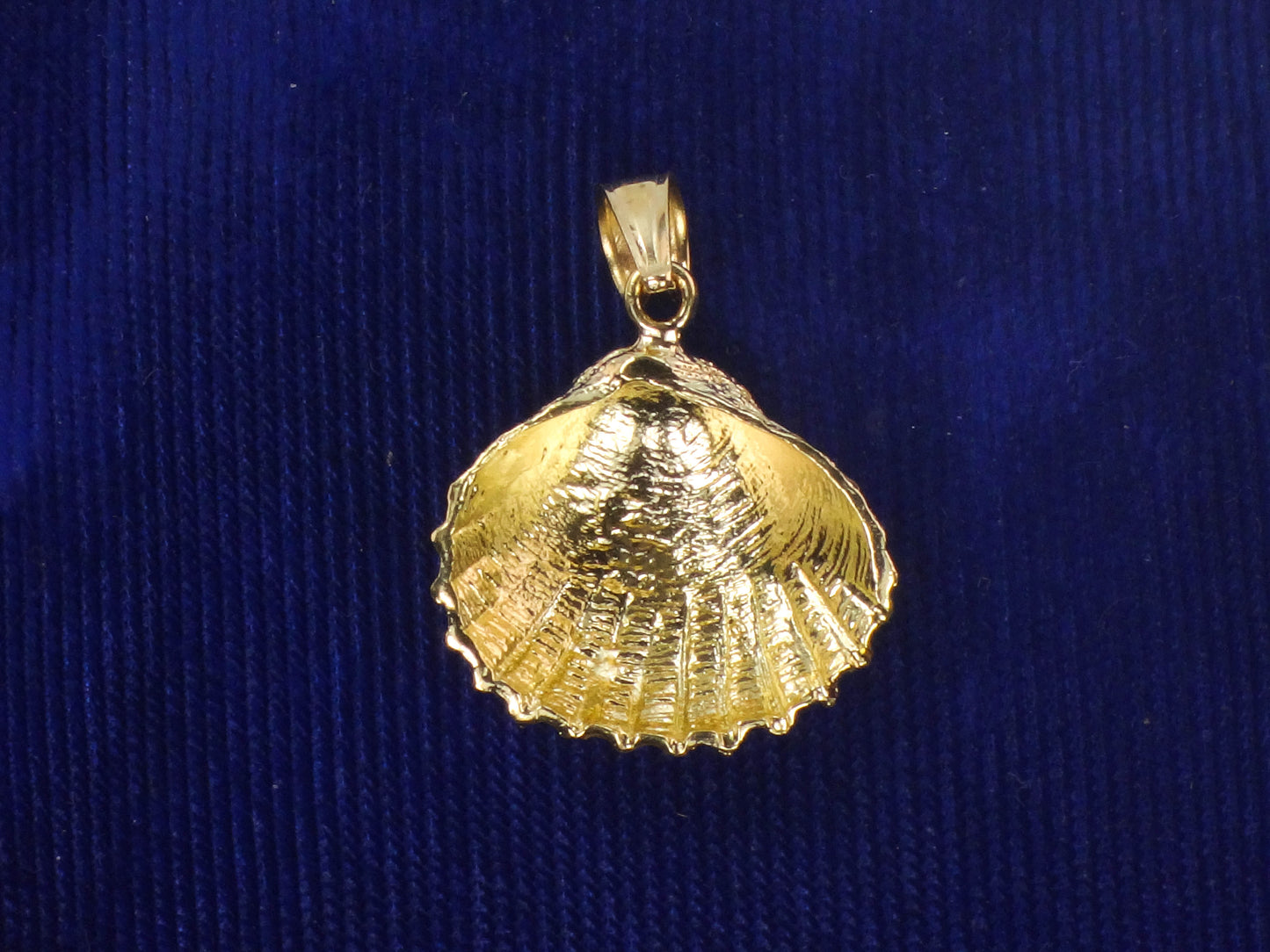 Solid 14k Yellow Gold Seashell Pendant