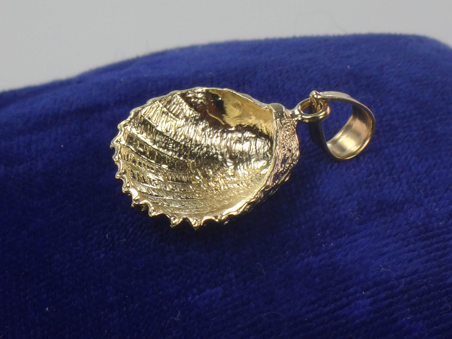 Solid 14k Yellow Gold Seashell Pendant